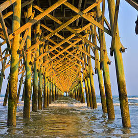 The Endless Summer by Louis Dallara