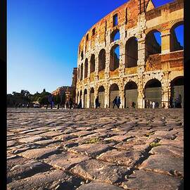 The Flavian Amphitheatre by Stefano Senise