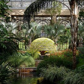 The Flower Tree by Richard Reeve