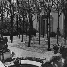 The Garden Of A Home In Meridian Hill by Carola Rust