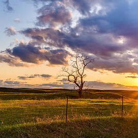 The Golden Hour by Adam Mateo Fierro