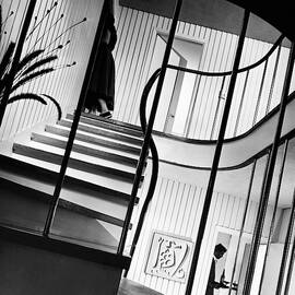 The Hall And Staircase Of Mr. And Mrs. Walter by Robert M. Damora