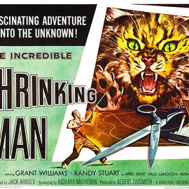 The Incredible Shrinking Man Poster by Gianfranco Weiss