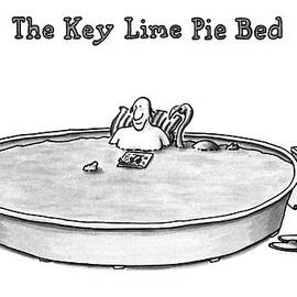 The Key Lime Pie Bed by J.P. Rini