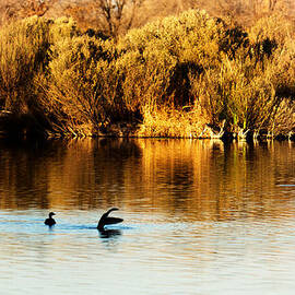 The Landing by Mary Lee Dereske