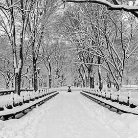 The Mall At Central Park During A Snowstorm by Susan Candelario