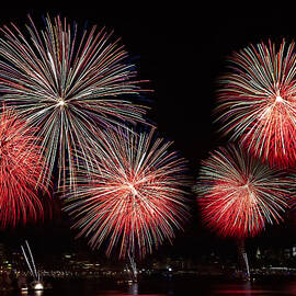 The New York City Skyline All Lit Up by Susan Candelario