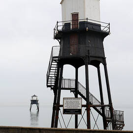 The Old Pair by Richard Reeve