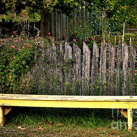 The Old Yellow Garden Bench by Olivier Le Queinec