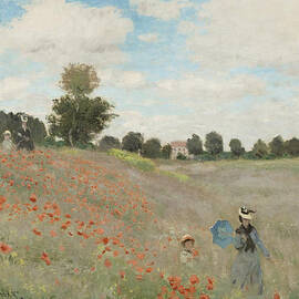 The Poppy Field by Georgia Clare