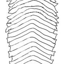 The Princess And The Watermelon by Sidney Harris