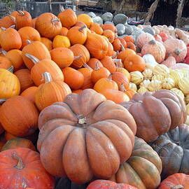 The Pumpkin Stand by Richard Reeve