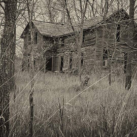 The House in the Woods by Mary Lee Dereske