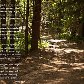 The Road Not Taken - Robert Frost Path in the Woods by Georgia Clare