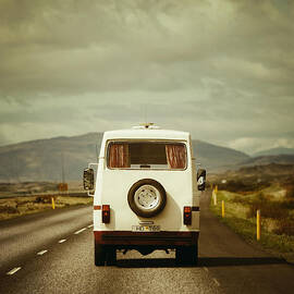 The Road Trip by Irene Suchocki