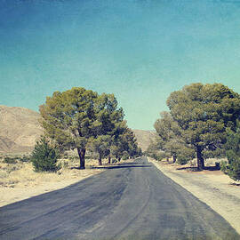 The Roads We Travel by Laurie Search