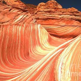 The Tongue At The Wave by Adam Jewell