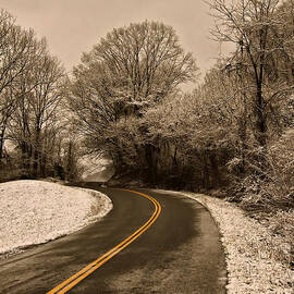 The Twisted Road by Flees Photos