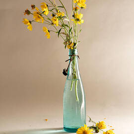 The Vase by Mary Lee Dereske