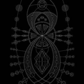 The Visitor Inverse by DB Artist