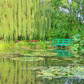 The Water Garden by Olivier Le Queinec
