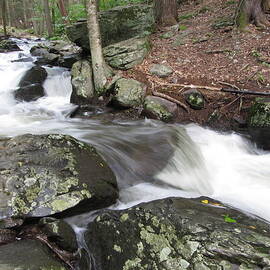 The Watering Place by Richard Reeve