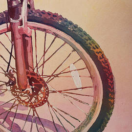 The Wheel in Color by Jenny Armitage