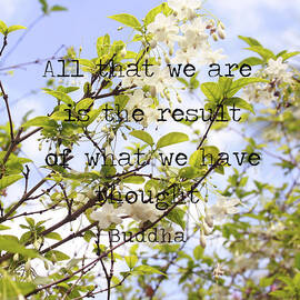 The Wisdom of Buddha by Georgia Clare