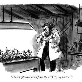 There's Splendid News From The F.d.a by Donald Reilly