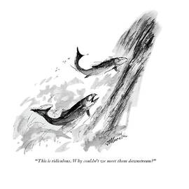 Why Couldn't We Meet Them Downstream? by Joseph Mirachi