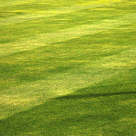 Thoughts Out in Left Field by Mary Lee Dereske