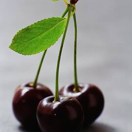 Three Cherries On A Stem by Romulo Yanes