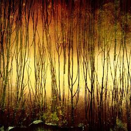 Through the Trees by Richard Reeve