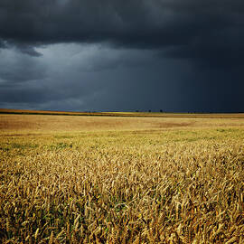 Thunderstorm Clouds Over Wheat Field by Avtg