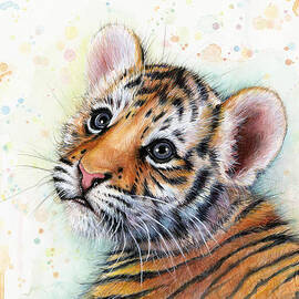 Tiger Cub Watercolor Art by Olga Shvartsur