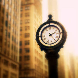 Timeless by Jessica Jenney