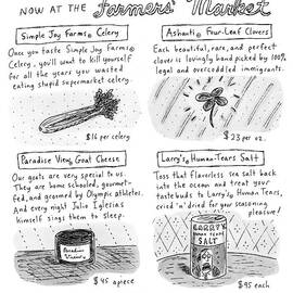 Title: Now At The Farmer's Market Four Products by Roz Chast