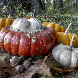 To Swell the Gourd by Richard Reeve