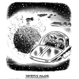 Tomorrow's Astronomy
Detritus Major
The Little by Ed Fisher