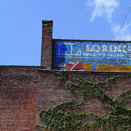 Top of the Empress Theater by Richard Reeve