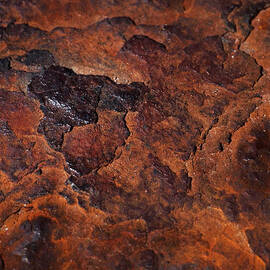Topography of Rust by Rona Black