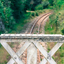 Tracks by Georgia Clare