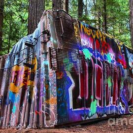 Train Wreck Art In The Forest by Adam Jewell