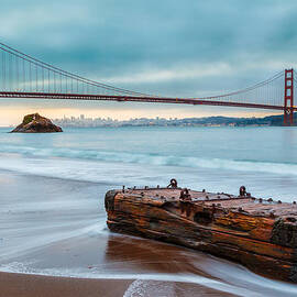 Treasure and the Golden Gate Bridge by Sarit Sotangkur