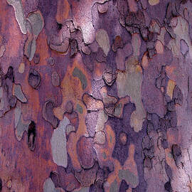 Tree Abstract by Rona Black