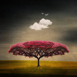 Tree And Clouds by Philippe Sainte-laudy Photography