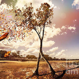 Tree leaves on a sea change by Jorgo Photography