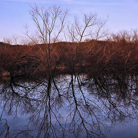 tree reflection on Wv pond by Flees Photos