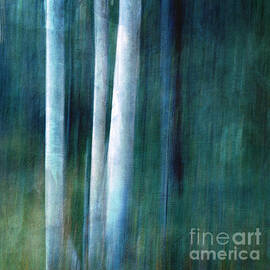 The woods are lovely dark and deep by Priska Wettstein