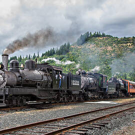 Triple Header In Color by Mary Jo Allen